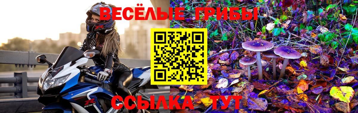 Галлюциногенные грибы мухоморы Краснознаменск